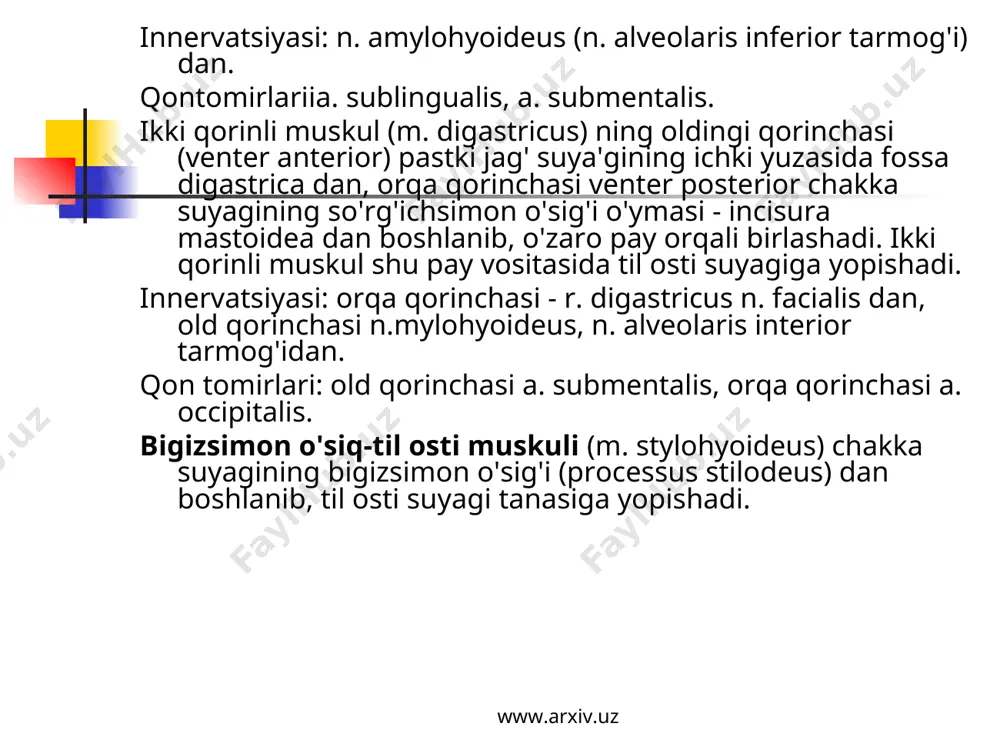 ylashgan. teri osti muskulini (m. platysma) o'rab, yuqoridan yuz fassiyasiga, pastdan ko'krak fassiyasiga o'tib ketadi. bo'yin xususiy fassiyasining yuza varag'i (lamina superficialis fascia colli propria) pastki jag' bilan to'sh suyagi dastasi va o'mrov suyaklari oralig'ida tortilib joylashib, bo'yinni hamma tomondan o'rab turadi. www.arxiv.uz www.arxiv.uz bosh muskullari bosh muskullari mimika va chaynov muskullaridan tuzilgan. mimika muskullari o'zining suyakdan boshlanib teriga yopishishi bilan boshqa muskullardan farq qiladi. binobarin mimika muskullari qisqarib yuzda har xil o'zgarish (holat) larni vujudga keltiradi. bundan tashqari, mimika muskullari so'zlash, chaynash jarayonida faol qatnashadi. yuzning mimika muskullari aksariyat og'iz, ko'z, burun va quloq atrofida joylashib, ularning torayishi (sfrnkterlar) yoki kengayishi (dilatatorlar) ni ta'minlaydi. kallaning tepa qismi kalla tepasi muskuli (m. epicranius) bilan qoplangan bo'lib, ensa-peshona muskuli va aponevrozdan iborat. www.arxiv.uz www.arxiv.uz paydalanilg’an a’debiyatlar: n. k. ahmedov b. boxadirov www.ziyonet.uz www.google.uz www.arxiv.uz www.arxiv.uz