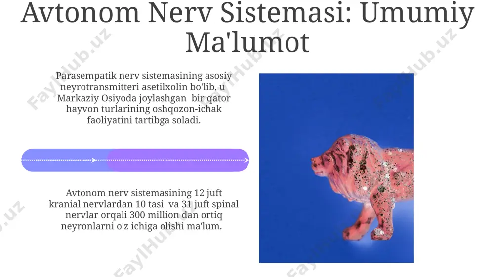 i va siydik pufagining hajmini 10-15% ga kamaytiradi. parasempatik nerv sistemasining yurakka ta'siri natijasida, yurak urish tezligi daqiqada 60-100 urishdan 40-60 urishgacha pasayadi, bu esa organizm tinch holatida bo'lganda energiya tejashga yordam beradi. e'tiboringiz uchun rahmat @taqdimot_robot image4.jpg image5.jpg image6.jpg image7.jpg image8.jpg image9.jpg image10.jpg image11.jpg image12.jpg image13.jpg image14.jpg image15.jpg image16.jpg image1.jpeg image2.jpeg image3.jpeg