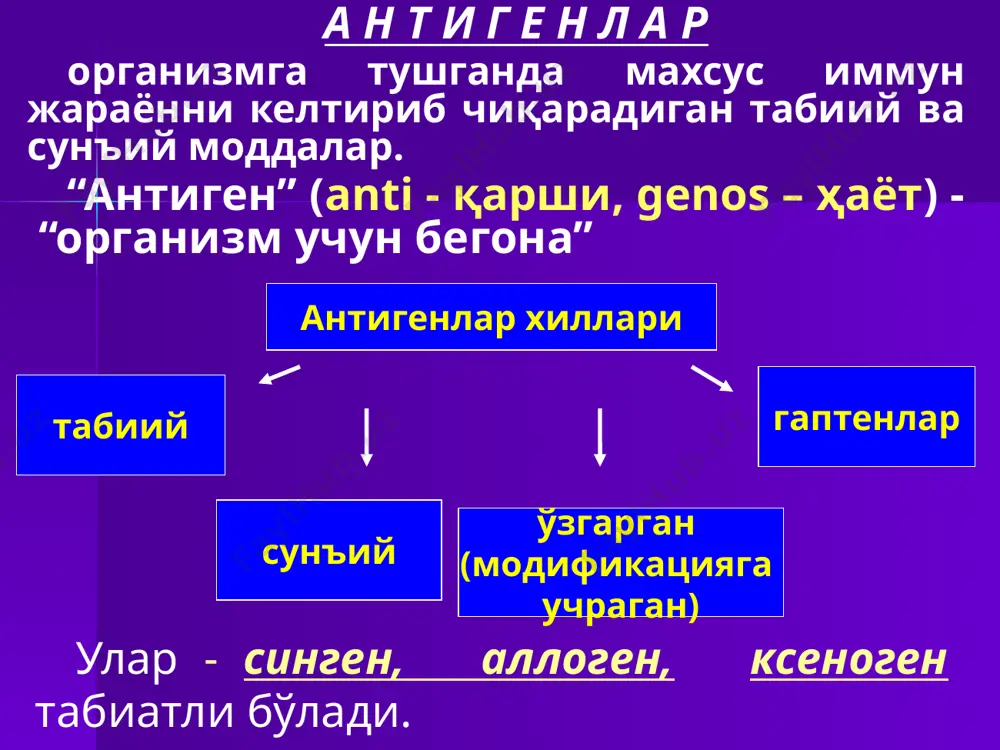 ишлаб чиқарадиган оқсиллари 4. vi-антигенлар (вирулентлик) - вирулент микроорганизм-ларга хос, шу антигенлик хусусиятини бактериялар токсинлари ҳам намоён қилади с у п е р а н т и г е н л а р - бошқа антигенлардан фарқли т-лимфоцитлар рецепторлари билан боғланиб, т-хелперларнинг тез кўпайишига олиб келади. улар ўз навбатида ил-2 ни кўп ишлаб чиқаради. уларга стафилококкларнинг энтеротоксинлари ва токсик шок синдромини чақирадиган токсинлар мисол бўлади. а у т о а н т и г е н л а р - организмнинг иммун тизими учун “бегона” ҳисобланган ўзининг ҳужайра ёки тўқималари. бирламчи аутоантигенлар - эмбриогенез жараёнида уларга нисбатан иммунологик толерантлик ривожланади. булар: бош мия, орқа мия, қалқонсимон без, кўз гавҳари, тоғайлар, мояклар ва сперма. ауто- антигенлар бирламчи ва иккиламчи бўлади иккиламчи аутоантигенлар - турли физик, кимёвий ёки биологик таъсирлар оқибатида организм орган, тўқима ёки ҳужайралари таркибининг ўзгариб, организм ўз иммун тизими учун “бегона”га айланиши (патологик махсуслик). а л л о а …