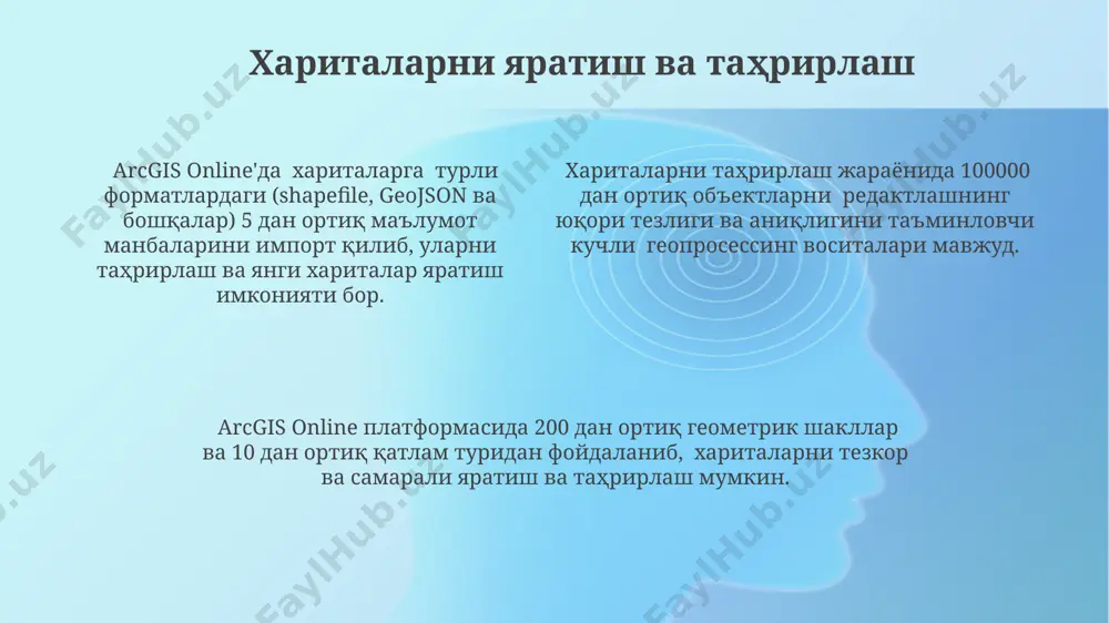 arcgis online platformasi - Page 4