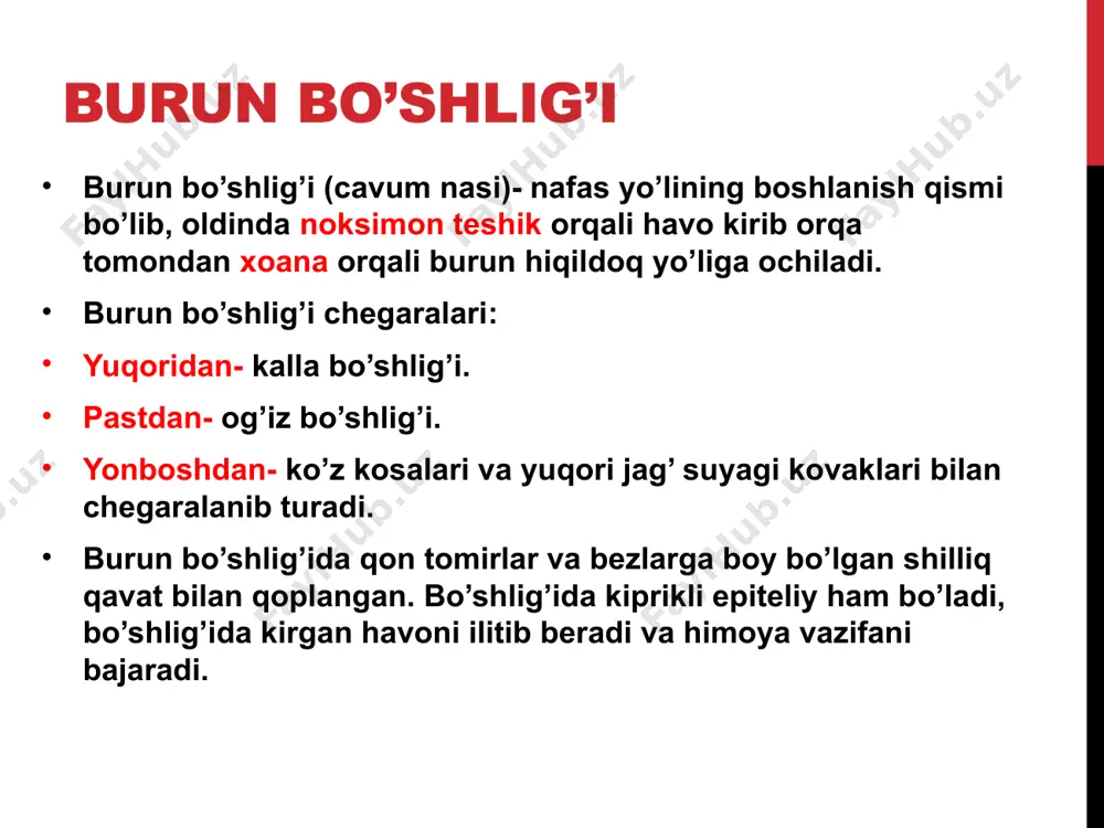 nafas a’zolarining tuzilishi va vazifalari - Page 5
