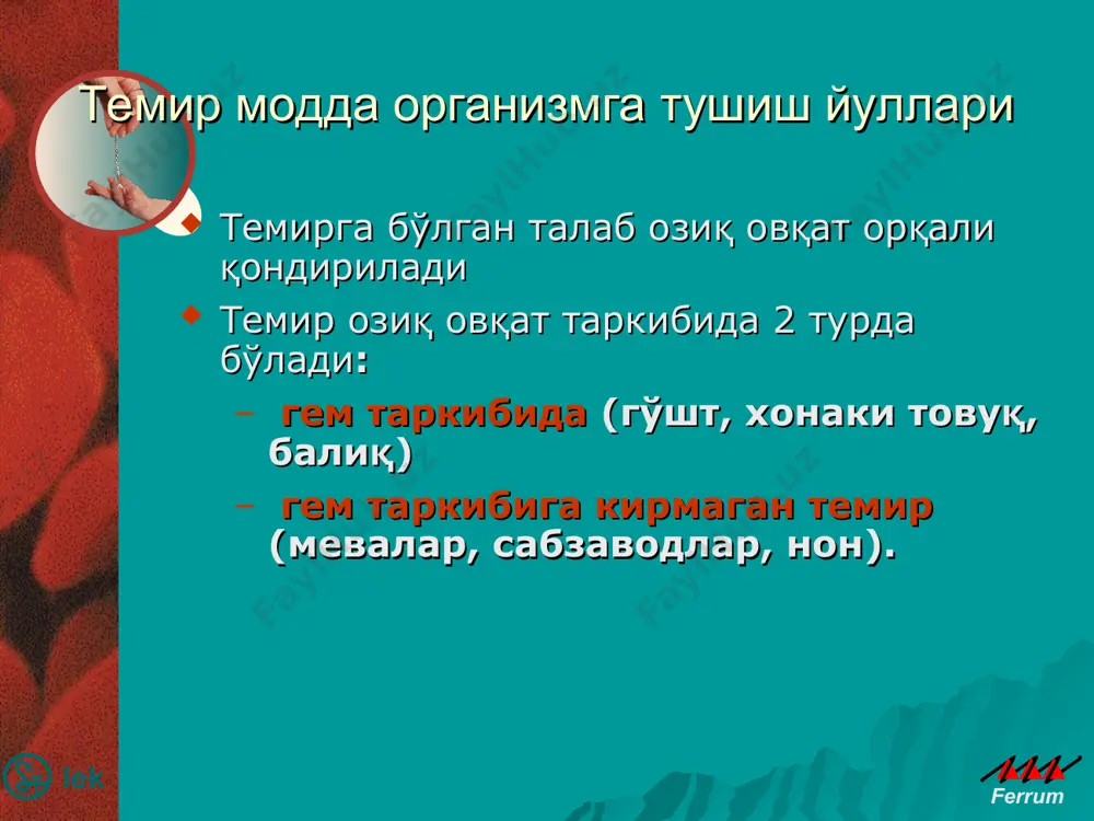 ar laktatsiya menstruatsiya temir yukotish xomila ayollarda temirga xomiladorlikdan oldin, uni vaktida va tugrukdan keyingi davrda sutkali ixtiyoji xomiladorlikni normal kechishi uchun odatda taxminan 1000 mg temir modda kerak 0 7 6 5 4 3 2 1 * vo vremya beremennosti znachitelnoe snijenie zapasov jeleza mojet vozniknut bolee, chem u polovini jenshin, kotorie ranee ne stradali anemiey. potrebnosti beremennoy jenshini v jeleze skladivayutsya iz sobstvenno potrebnostey jenshini (240 mg), zatrat, vizvannix uvelicheniem chisla eritrotsitov (500 mg jeleza), a takje potrebnostey ploda i platsenti (300 mg), v obshey slojnosti 1000 mg (voz, 1970 g). v sluchae, esli pervonachalnie zapasi v organizme jenshini sostavlyayut, kak minimum, 200 mg, to velichina dopolnitelnix potrebnostey v jeleze ravnyaetsya 800 mg. fakticheski, eti potrebnosti voznikayut vo vtoroy polovine libo tretem trimestre beremennosti. na poslednem mesyatse beremennosti sutochnaya potrebnost v jeleze mojet dostigat 7-8 mg/den. nesmotrya na to, chto stepen vsasivaniya jeleza vozrastaet vo vtoroy polovine beremennosti, …