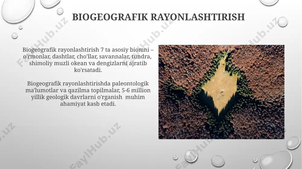 tabiiy geografik rayonlashtirish - Page 3