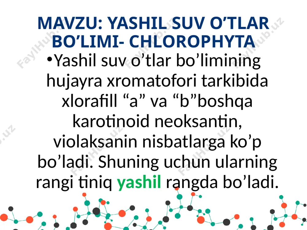 nas dunnaliella dunnaliella - bu turkum vakillari sho’r suvlarda o’sadi , hujayrasi yalang’och sitoplazmatik membrana o’ralgan. aseromonas - vegetativ ko’payadi sirt tamondan qaralganda olti qirrali yulduzga o’xshaydi volvokslar tartibining ko’pchilik vakillarida hujayra tuzilishi xlamidomonad va gametokkoklarnikiga o’xshash bo’lib xarakatchan senobiy xosil qiladi. senobiysiga qarab har xil bo’ladi: gonium pandarina eudarina volvoх gonium pectorali- bizda eng ko’p tarqalgan bo’lib senobiysi 16 ta hujayradan iborat. pandarina – senobiysi bir biriga zich joylashgan . xar bir hujayraning xivchini sirt tamonga va dum tamoni esa markazga tamon joylashgan eudarina – senobiysi 32-64 ta hujayradan iborat bo’lib senobiy markazini suyuq shilliq tashkil etadi. volvoks- uning koloniyasi murakkab tuzilgan bo’lib bitta koloniyasidagi hujayralar 500-600 minga yetadi image2.emf image3.emf image4.jpeg image5.jpeg image6.jpeg image7.jpeg image8.jpeg image9.jpeg image10.jpeg image11.jpeg image12.jpeg image13.jpeg image14.jpeg image1.png