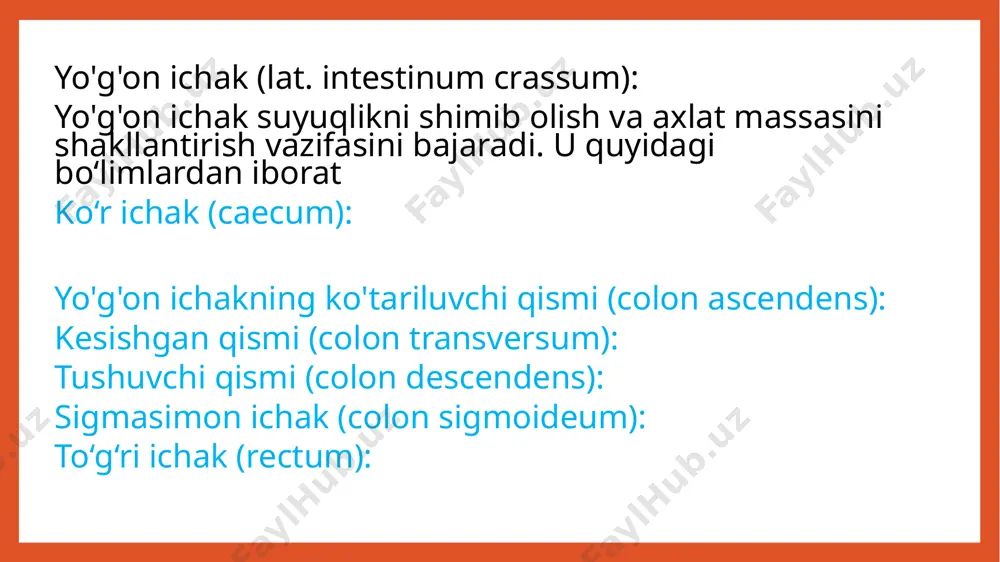 yogon ichak va ingichka ichak tekshirish usullari - Page 4