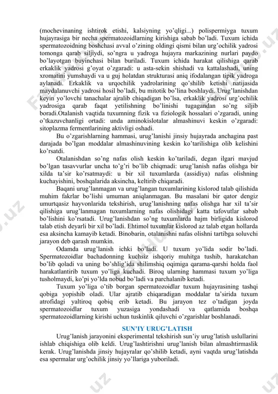 ar bo’lgan suyuq muhit urug’lanishning zarur sharoiti bo’lib hisoblanadi. kislotali muhitda urug’lanish sodir bo’lmaydi. biroq, ikkinchi tomondan, kuchli, ishqoriy reaksiyalarda, garchi jinsiy hujayralar qo’shilsada zigota rivojlanmaydi. muhit reaksiyasi bir oz ishqoriy bo’lishi kerak. urug’lanish morfologiyasi. otalanish yoki urug’lanish odatda dengiz kirpisi misolida bayon etiladi, chunki bunda bu jarayon yetarli darajada yaxshi o’rganilgan. dengiz kirpisining tuxumi studenli kobik bilan qoplangan, buning ostida sariqlik qobig’i, keyin esa kortikalli granulalar bilan kortikal qatlam joylashgan. odatda juda ko’p spermatozoidlar tuxumga tomon siljiydi, lekin urug’lanish burtmachasi ulardan faqat bittasining tuxumga boshqalardan avval tuqnashganining ruparasida hosil bo’ladi. tuxum hujayrasiga spermatozoidning buyinchasi bilan birga boshchasi kiradi. sitoplazmali dumcha odatda tashqarida qoladi, moboda tuxumga o’tgan taqdirda ham sitoplazmada erib ketadi. ba’zi bir hayvonlarda, masalan malyuskalarda, spermatozoid tuxum hujayrasiga butunicha kiradi. spermatozoidning boshchasi kirishi bilan urug’lanish qobig’i hosil bo’la boshlaydi. sariqlik qobig’i kortikal qatlamdan kuchadi va ular oralig’ida perivitilin deb ataluvchi bo’shliq hosil bo’lib, u suyuqlik bilan tulgandir. buning …
