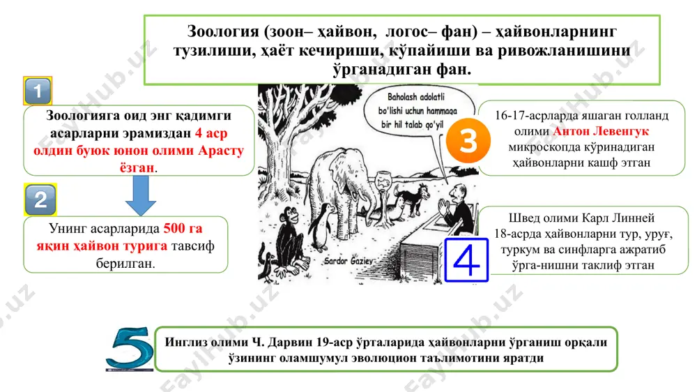 а паразитлик қилади урғочисининг узунлиги 20–40 см, эркаги 15–25 см бўлади аскарида ингичка ичакда ҳазм бўлаётган озиқни сўриб олади бир кеча-кундузда 240 000 тагача тухум қўяди нам жойда тухумлар ичида личинкалар ривожланади тухумлар ифлос қўл ёки ювилмаган сабзавот ва мевалар орқали юқади. 1-тухум, 2- тупроқдаги тухум, 3-урғочиси, 4-эркаги, 5-ўпкага ўтаётган личенка, 6- вояга етган давр,7-личенка ичакда бор бир хивич, бўйи роса бир қарич. текин томоқ, ичак сўрар, билсанг айт-чи, қандай юқар? 1 2 3 4 5 6 7 8 9 ўргимчаксимонларнинг хилма-хиллиги ўргимчакларнинг кўпчилик турлари йиртқич бўлиб, пашша, чивин каби ҳашаротларни қириб фойда келтиради қорақурт ўрта осиё, кавказ ва қримнинг дашт ва чўлларида учрайди қорақурт -заҳари одам учун хавфли, туя ва отларга, айниқса, кучли таъсир этади фалангалар- ўргимчаксимонлар орасида энг йириги бўлиб, асосан иссиқ ва қуруқ иқлимда ҳаёт кечиради фаланга йиртқич бўлиб -ҳашаротлар, майда судралиб юрувчилар билан озиқланади. каналар ҳидни жуда яхши сезади, ўз хўжайинларини ҳиди орқали топиб олади мол …
