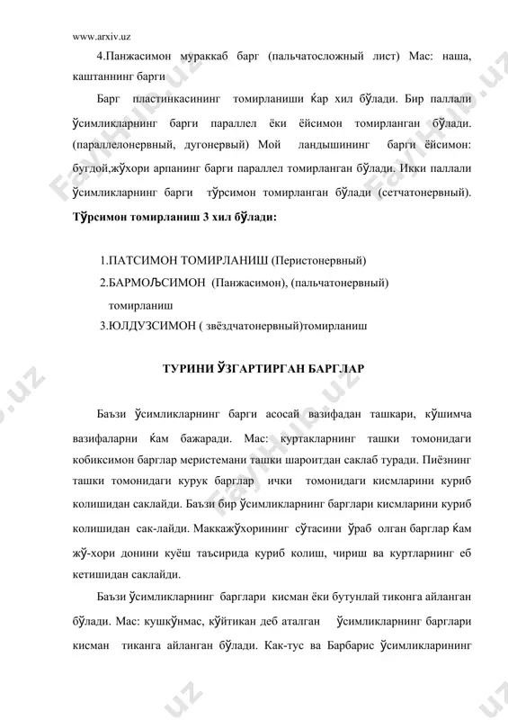 и 3 хил б(лади: 1.дорзовентраль 2.изолотериаль 3.радиаль дорзовентраль баргнинг юкори томони пастки томонга (хшаш б(лмайди.чунки юкори томонда козиксимон т(кималар, пастки томонда эса, булутсимон т(кималар жойлашган. изолотериал баргнинг юкори томони пастки томонига (хшаш б(лади. баргнинг юкорида (ам,пастки томонида (ам козиксимон т(кималар жойлашган. радиаль баргнинг тузилиши новдага (хшаш б(лади.баргнинг ички тузилиши (симликнинг яшаш шароитига (ам богликдир. иссик шароитда яшайдиган (симликларни ксерофит (симликлар дейилади. (рта иклимда яшайдиган (симликларни мезофит дейилади. сув ва нам шароитда яшайдиган (симликларни гидрофит дейилади. (симликларнинг барги эпидермис билан копланган. баъзи (симликларнинг барги к(п йиллик б(лса (ам, (арча, карагай) эпидермис билан копланган.эпидермиснинг устида кутикула ка-вати ёки мум излари б(лади. ксерофит шароитда яшайдиган (симликларнинг баргининг эпидермисида кутикула кават калин, эпидермис бир неча кават. бу (симликларда козиксимон т(кима яхши тараккий этган. мезофит шароитда яшайдиган (симликларда эпидермис 1 кават, козиксимон т(кима (ам баргнинг юкори томонидан одатда бир кават жойлашган б(лади. баъзан 2 кават (ам б(лиши мумкин. гидрофит шароитда яшайдиган (симликларда козиксимон т(кима б(лмайди. …