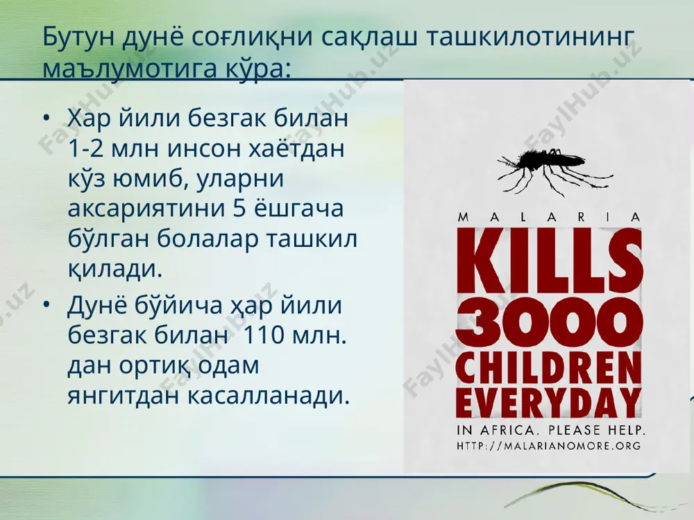 рментни етишмовчилигини бўлиши, самарали кўпайишига тўсқинлик қилади (касалланмайди). гемоглобинопатия. паразитни ривожланиш циклини гемоглобин аномалияси холати қўллаб-қувватламайди: келиб чиқиши африкалик бўлганларда ўроқсимон хужайрали анемия кузатилади. (касалланмайди). патогенез p.vivax ва p.ovale гепатоцитларда ушланиб қолиши мумкин, кейинчалик рецидив келиб чиқади. паразит эритроцит ичига кириб,ўзидан токсик пигмент гемозоин ажратиб, гемоглобин ва бошқа оқсилларни метаболизмига сабаб бўлади. p.vivax ва p.ovale кўпроқ ( аксарият) ретикулоцитларни зарарлайди. метаболизм даражаси, эритроцитдагига қараганда 70 марта юқори, паразит метаболизми учун албатта глюкоза керак  эритроцит ичи гипогликемия, сут кислота ацидози. эритроцитлар лизиси  томир ичига паразит метаболизмини махсулотини чиқиши  иситма. эритроцитлар парчаланиш жараёнини фаоллашуви, эритроцитлар лизиси, интерлейкин-1 ва ўсма некротик омилни макрофаглар томонидан ажралишини таъминлайди. даврийлик: pl. vivax, ovale ва falciparum 48 соат ва p.malariaeда 72соат. гольджи қонуни. эритроцитларни сезиларли интраваскулали лизиси организмни хининга нисбатан юқори сезувчан реакциясининг махсули бўлиши хам мумкин. хинин-антитело комплекси эритроцит юзасига адсорбцияланиб, комплементни фаоллашувига ва уни гемолизига сабаб бўлади. гемопоэзни пасайиши, талоқда эритроцитларни клиренсини …