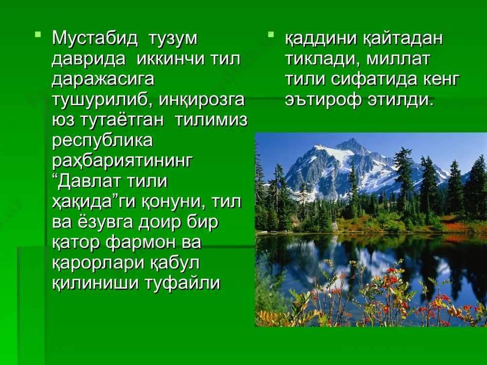 тил миллат кўзгуси - Page 5