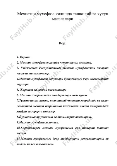 мехнатни мухофаза килишда ташкилий ва хукук масалалари — DOC