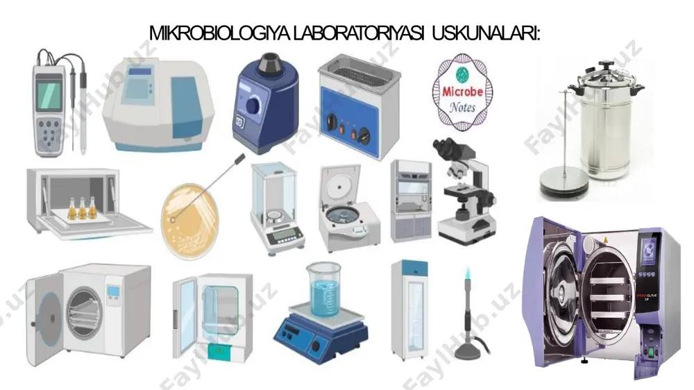 mikrobiologik tadqiqotlarning asosiy usullari - Page 4