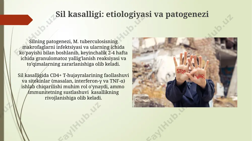 zaxm va silga qarshi vositalar - Page 4