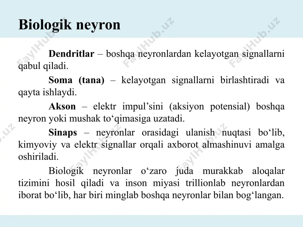 biologik neyron va sun’iy neyron tarmoq modeli - Page 4