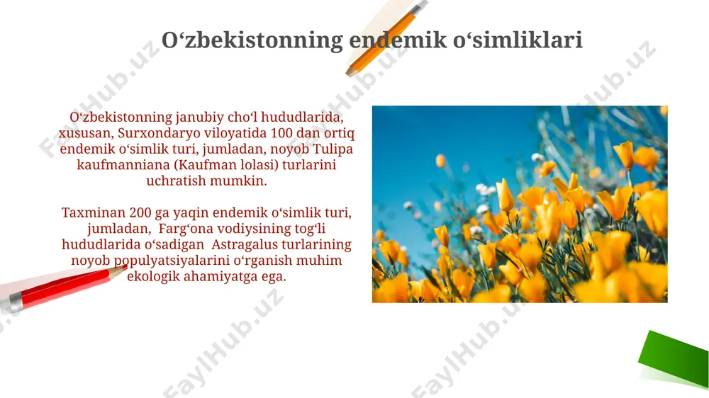 o‘zbekiston florasi endemalari - Page 5