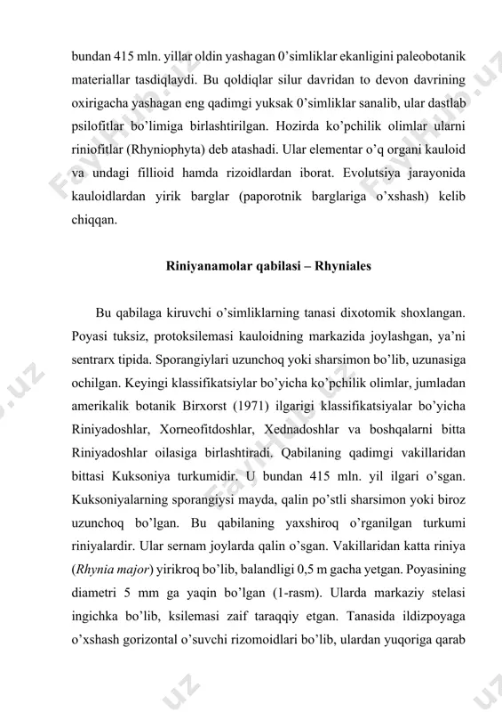 yuksak o’simliklar dunyosi – embryophyta (embryobionta) - Page 4
