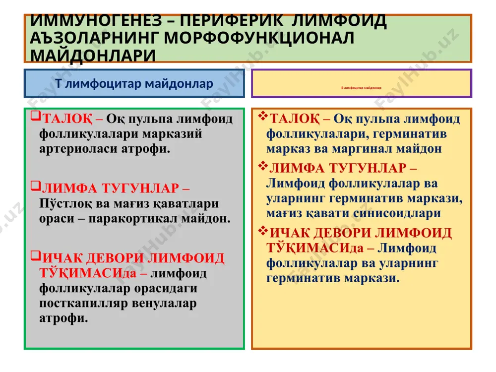 морфофункционал ҳолатининг ирсий, туғма ва туртушда орттирилган етишмасликларидир. ўта сезувчанлик реакциялари - аллергия реагин аллерген ige c5 fc семиз ҳужайра ige fab аллергеннинг 1-марта тушганида аллергеннинг 2-марта тушганида гистамин серотонин ўткир иммун яллиғланиш томирларнинг кенгайиши, деворида альтератив ўзгаришлар, ўтказувчанлигининг ошиши, шиш, қон қуйилишлар ва серозли-геморрагик экссудат пайдо бўлиши. тошмалар тошиши. ўта сезувчанлик реакциянинг i - механизми ўта сезувчанлик реакциялари - аллергия fc нишон ҳужайра антиген ўткир иммун яллиғланиш томирларнинг кенгайиши, деворида альтератив ўзгаришлар, ўтказувчанлигининг ошиши, шиш, қон қуйилишлар ва серозли-геморрагик экссудат пайдо бўлиши. тошмалар тошиши. ўта сезувчанлик реакциянинг i i - механизми k - ҳужайра nk - ҳужайра igg антителали цитозахарлаш комплементли цитозахарлаш т - киллер макрофаг fc ўта сезувчанлик реакциялари - аллергия иммун бирикма – аутоиммун бирикма ўта сезувчанлик реакциянинг iii - механизми + + томир девори, бириктирувчи тўқима hla тизими ≥ 2000 ўткир иммун яллиғ-ш система ауто-иммун касал-ликлар ўта сезувчанлик реакциянинг iv - механизми кўчириб ўтказилган буйрак т-киллер …