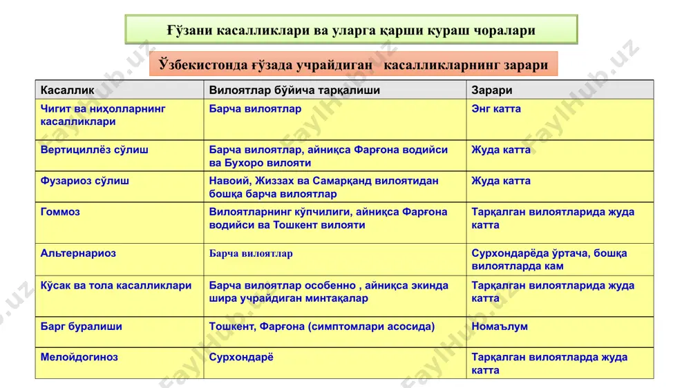 ҳоллар униши учун қулай ҳароратда, тавсия қилинган қисқа муддатларда экиш, ягана пайтида касал ниҳолларни олиб ташлаш лозим. касалликка чидамли навлар яратиш. кимёвий усул: ҳозирги пайтда гоммозга қарши республикамизда кенг миқёсда қўлланилмоқда. касаллик кучли тарқалган минтақаларга бронатак ва бронопол уруғдорилагичларидан 6 кг/тонна ишлатиш тавсия этилади. кўпроқ ҳолларда ингичка толали ғўза навларини ва баъзан ўрта толали ғўзаларни ҳам касаллантиради. зарарланган ниҳол уруғбарг чиқарган даврдаёқ сўлий бошлаб ётиб қолади, натижада нобуд бўлади. зарарланган ғўзанинг илдиз тўқимаси тўқ қўнғир ёки қорамтир тусга киради. қора илдиз чиришининг ёз ойларида ингичка толали ғўзаларда учрайдиган хили ниҳол касалланишининг давоми бўлиб, у баргларни поядан тушиб кетмасдан, поя ёш тўқималарининг бирдан сўлиши билан таърифланади. қора илдиз чиришининг экинга асосий салбий таъсирлари – ниҳоллар илдиз тармоғи фаолиятини бузилиши туфайли уларни бўйи паст, нимжон бўлиб қолиши, ўсиш ва ривожланишдан кечикиши, ҳосил пишиши 3-4 ҳафтагача орқада қолиши ва оқибатда умумий ҳосил миқдори ҳамда сифатини пасайиши билан характерланади. қора илдиз чириш қобиғини чириши …