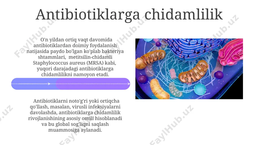 u jarayon taxminan 20 daqiqada sodir bo'lishi mumkin. ba'zi bakteriyalar, masalan, clostridium botulinum kabi turlar, kuchli toksinlar ishlab chiqaradi, bu toksinlar odam organizmiga 1 nanogramm miqdorida ham halokatli ta'sir ko'rsatishi mumkin. diagnostika usullari pcr (polymerase chain reaction) usuli yuqumli kasalliklarning patogenini aniqlashda yuqori sezuvchanlikni (10-1000 kopiya/ml) ta'minlaydi va natijalarni tez olish imkonini beradi. serologik testlar, masalan, elisa yoki immunofluoresensiya, qondagi antitellarni aniqlash orqali kasallikning mavjudligini va og'irligini baholashda yordam beradi, ammo natijalar 2-3 haftadan keyin aniq bo'ladi. patogenlarning tasnifi viruslar rnk yoki dnk genomiga ega boʻlishlari, shuningdek, ularning hujayra tuzilishi va replikatsiya mexanizmlariga qarab 7 ta asosiy guruhlarga ajratiladi. patogenlarni gram boʻyash usuli orqali 2 ta asosiy guruhga: gram-musbat va gram-manfiy bakteriyalar boʻlib tasniflash mumkin, bu ularning hujayra devori tuzilishiga asoslangan. e'tiboringiz uchun rahmat @taqdimot_robot image4.jpg image5.jpg image6.jpg image7.jpg image8.jpg image9.jpg image10.jpg image11.jpg image12.jpg image13.jpg image14.jpg image15.jpg image16.jpg image17.jpg image18.jpg image19.jpg image20.jpg image1.jpeg image2.jpeg image3.jpeg