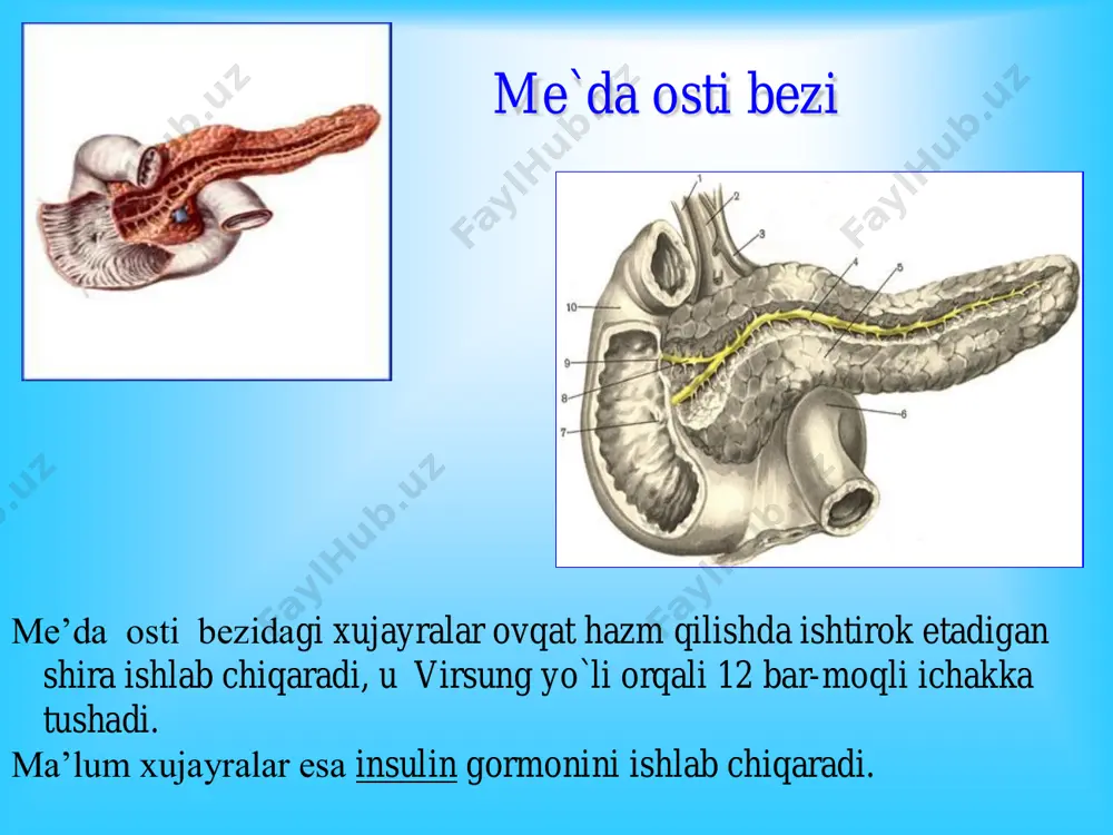 ptomi). • og`riqlarning bel sohasiga irradiatsiyasi (meyo- robson belgisi), o`ng kurak ostiga (boas), o`ng yelka sohasiga, o`ng o`mrov ostiga irradiatsiyasi (myussi simptomi) kuzatiladi. • qayt qilish - o`tkir pankreatitga xos belgi, ko`proq kayta-lanuvchi, bemorni holdan toydiruvchi bo`lishi mumkin, ba’-zida uzluksiz tus oladi. • ichak parezi hisobiga qorinning shishishi kuzatiladi. • tana harorati bemorlarda normal yoki subfebril darajada bo`lishi mumkin. • bemorni qorni shishgan, ichaklar peristaltikasi kuchaygan yoki eshitilmasligi holda, epigastral sohada regional mushaklar tarangligi aniqlanadi (kerte simptomi). o`tkir pankreatitga xos teri simptomlari • mondor simptomi – tana va yuz terisi-dagi binafsha rang dog`lar; • xolsted simptomi – qorin terisining tsianozi; • turner simptomi – qorinning yon devori va bel sohasi tsianozi; • gryunvald simptomi – kindik soha te- risidagi petexial toshmalar. •