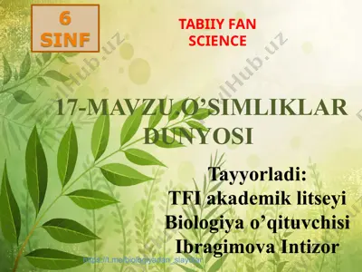17-mavzu.o’simliklar dunyosi — PPT
