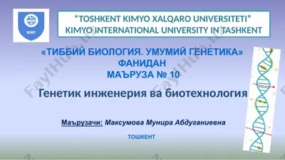 genetik inzheneriya va biotexnologiya — PPTX