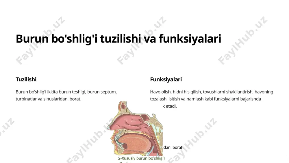 g'i yuz va boshning trigeminal nervi va hid nervi tomonidan boshqariladi. 8 burun bezlari va ularning funksiyalari shilliq bezlar burun shilliq qavatini namlash va himoya qilishda ishtirok etadi. ter bezlari burun bo'shlig'ini sovutishda ishtirok etadi. ferment bezlari antibakterial xususiyatga ega bo'lib, infektsiyadan himoya qiladi. 9 burun limfoid to'qimalari 1 burun septum limfoid to'qimasi burun septumining yuqori qismida joylashgan. 2 turbinatlar limfoid to'qimasi turbinatlarning ichida joylashgan. 3 adenoidlar burun bo'shlig'ining orqa qismida joylashgan. 10 burun bo'shlig'i patologiyalari rinit burun shilliq qavatining yallig'lanishi. sinuzit burun sinuslarining yallig'lanishi. 11 burun bo'shlig'i gistologiyasining ahamiyati burun bo'shlig'i gistologiyasi burun patologiyalarini tashxislash va davolashda muhim rol o'ynaydi. gistologik tahlillar nafas olish tizimining holatini aniqlash, yallig'lanish jarayonlarini aniqlash va boshqa kasalliklarni tashxislashga yordam beradi. 12 image1.png image2.png image3.png image4.png image5.png image6.png image7.png image8.png image9.png image10.png image11.png image12.png image13.png image14.png image15.png image16.png image17.png image18.png image19.png image20.png