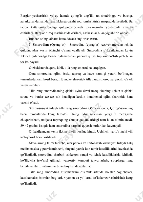 ususiyati tufayli halq meditsinasida gipoavitaminozni, singani, yurak-kon tomir kasalliklarini davolashda qo’llaniladi, smorodina sharbati oshkozon yarasi va ichak kasalliklarida ichiladi, ho’lligicha iste’mol qilinadi, «assorti» kompoti tayyorlashda, siroplarga rang berish va ularni vitaminlar bilan boyitishda ishlatiladi. tilla rang smorodina xushmanzara o’simlik sifatida bolalar bog’chalari, kasalxonalar, istirohat bog’lari, xiyobon va yo’llarni ko’kalamzorlashtirishda keng qo’llaniladi. smorodina ko’p yillik butasimon o’simlik. u 10-15 yil mobaynida mo’l hosil beradi. smorodina uchun yerni to’g’ri tanlay bilish juda muhimdir. smorodina uchun tekis yoki bir oz g’arbga yoki shimoliy-g’arbga nishabroq joy tanlanadi. nishabligi 10 gradus dan ortiq bo’lmasligi kerak. unumdor madaniylashtirilgan, mexanik tarkibida qumoq, suvni yaxshi o’tkazadigan soz tuproqlarda smorodina yaxshi o’sadi. sizot suvlar yer yuzasidan 150 sm dan yuqori joylashmagan bo’lishi kerak. smorodina ekiladigan uchastka suv bilan yaxshi ta’minlangan bo’lishi lozim. smorodina kuz va bahorda o’tkaziladi. kuzda novdalar o’sishi to’xtaganda, sovuqlar tushishidan oldin, bahorda kurtaklar barg chiqarguncha o’tkaziladi. bahorda smorodina juda tez o’sadi, shuning uchun ko’pincha barg chiqargan …