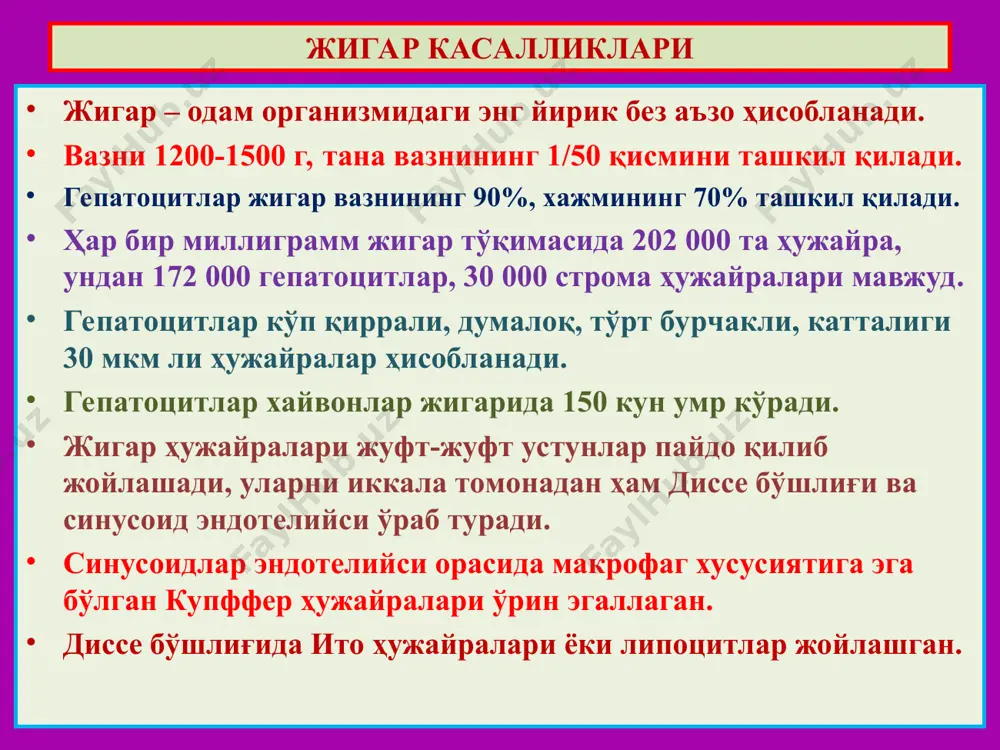 аралаш ҳужайрали рак. жигар касалликлари вирусли гепатит, бу - гепатотроп вирусларнинг цитотоксик ва аутоиммунлаш таъсири натижасидаги жигарнинг яллиғланишли касаллигидир. этиологияси: а, в, с, d, е, f, g гепатотроп вируслар. а вирусли гепатит доимо ўткир кечади, фекал-орал йўл билан юқади, вирус бевосита цитотоксик таъсир кўрсатиб, жигар ҳужайраларини некрозлайди. е вирус ҳам фекал-орал йўл билан юқиб ўткир вирусли гепатит қўзғатади. в ва с вирусли гепатитлар ўткир ҳамда сурункали кечади, парентерал йўл билан, ҳамда йўлдош орқали онадан болага ўтади. вирус билан касалланган гепатоцитлар иммун реакциялар орқали йўқ қилинади. d вирус фақат в вирус билан касалланганларга юқади. f, g вируслар, в ва с борлигида юқади ва гигант ҳужайралар пайдо қилади. жигар касалликлари шиддатли некротик гепатит а ва е вируслар қўзғатган массив некроз ва қон қуйилиш ўчоқлари. вакуоляр дистрофия каунсилмен оқсили портал йўлларидаги лимфоид инфильтрация лимфоцитлар ва макрофаглардан иборат. ўткир вирусли гепатит 1 1 2 3 4 5 3 сурункали актив гепатит перипортал пағонасимон некроз …