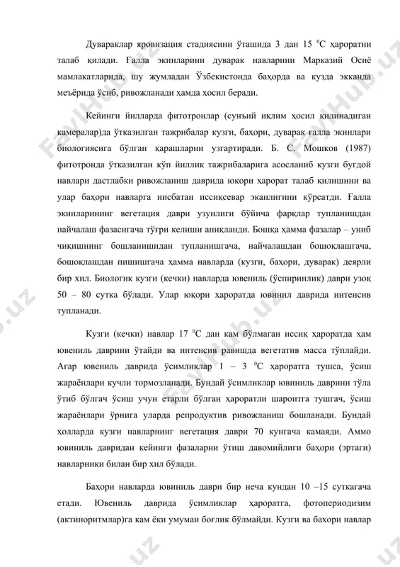 )га эмас, балки ювениль даврининг давомийлиги бир хил бўлмаслигига боғлиқ. кузги буғдой доимий ҳарорат 27-зо 0с бўлганда 90 кунда бошоқлайди. буғдойнинг кузги (кечки) навлари 50-550 шимолий кенгликларда баҳорда экилганда ҳосил бермаслигига сабаб бу минтақаларда ўсиш даврининг қисқалигидир. шунинг учун кузги буғдойлар ўсув даври узун, кечки навлар ҳисобланади. дуварак навлар ювениль даври кузги ва баҳори навлар оралиғида туради. уларни баҳори навлардан фарқлайдиган принципиал белгилари йўқ. шунинг учун дуварак навларни алоҳида гуруҳга ажратиш жоиз эмас. кейинги йилларда генетика соҳасида олиб борилган тадқиқотлар буғдойда ювениль даври ген vrn билан детерминланиши, бошкарилиши аниқланди. куперман ф. м. (1969) буғдойда ёшига қараб бешта даврни ажратиб, улар орасидан учинчи - ювениль даврини қуйидагича тасвирлайди: «вегетатив органлар (барглар, поялар, илдизлар)нинг шаклланиши, поя ер ости бўғинларининг шохланиши (тупланиш), шунингдек тўпгул органларини ушлаб турувчи ўқ органларни (вегетатив) ҳосил бўлишини бошланиши ва унинг шохланиши ҳусусияти билан ажралиб туради». ювениль даврини кўпинча виргинил (бокира)лик даври деб аташади ва бу даврда ўсимлик мева …