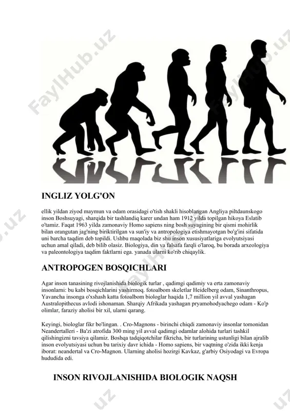 qacha talqin hech kimga sir emas. homo sapiens tarixiy rivojlanishi o'rganishga salbiy rol o'ynadi va faktlar soxtalashtirish hollari. qanday qilib bu antropologiya rivojlantirish aks ettirilgan? ingliz yolg'on ellik yildan ziyod maymun va odam orasidagi o'tish shakli hisoblangan angliya piltdaunskogo inson boshsuyagi, sharqida bir tashlandiq karer undan ham 1912 yilda topilgan hikoya eslatib o'tamiz. faqat 1963 yilda zamonaviy homo sapiens ning bosh suyagining bir qismi mohirlik bilan orangutan jag'ning biriktirilgan va sun'iy va antropologiya etishmayotgan bo'g'ini sifatida uni barcha taqdim deb topildi. ushbu maqolada biz shu inson xususiyatlariga evolyutsiyasi uchun amal qiladi, deb bilib olasiz. biologiya, din va falsafa farqli o'laroq, bu borada arxeologiya va paleontologiya taqdim faktlarni ega. yanada ularni ko'rib chiqaylik. antropogen bosqichlari agar inson tanasining rivojlanishida biologik turlar , qadimgi qadimiy va erta zamonaviy insonlarni: bu kabi bosqichlarini yashirmoq. fotoalbom skeletlar heidelberg odam, sinanthropus, yavancha insonga o'xshash katta fotoalbom biologlar haqida 1,7 million yil avval yashagan australopithecus avlodi …