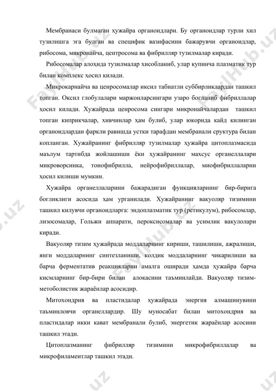 аде ва портерлар эндоплазматик тур ута микроскопик каналчалар, пуфакчалар ва цистерналарнинг узаро туташишидан иборат мураккаб шохланган тур системаси эканлигини аникладилар. сруктураси ва шакли билан хилма-хил булган бу система деворини элементар мембрана ташкил килади. мембрананинг калинлиги 70 а0 атрофида булиб, думалок каналларнинг ички диаметри 300-500 а0 келади. эндоплазматик тур каналининг ичи суюклик билан тула булиб, таркиби протаплазма матриксига ухшайди, шу жиҳатдан гольжи цистерналари ва хлоропласт тилакоидларининг суюкликларига ҳам ухшайди. эндоплазматик тур мембранасининг юзаси силлик ва гадир-будур булади. мембран сатҳига рибосоманинг диаметри 100-150 а0 келадиган гранулалари ёпишиб олганидан, унинг юзаси гадир-будур куринади. шунга кура ҳужайранинг бир кисмида улар бутунлай силлик, иккинчи томонида гадир-будур булади. рибосома гранулалари ёпишган эндоплазматик тур цистерналарига грануляр (гадир-будур), силлик жойларига силилик ретикулум деб аталган. грануляр ретикулум ясси, кенг цистерналардан иборат булади. грануляр ретикулум цистерналарининг сони ҳужайралар типига, ривожланиш фазасига боглик. силлик ретикулум одатда ингичка, тармокланиб кетган найчаларни эслатади, у грануляр ретикулум цистерналаридан усиб чикади (14-расм). эндоплазматик тур каналлари …