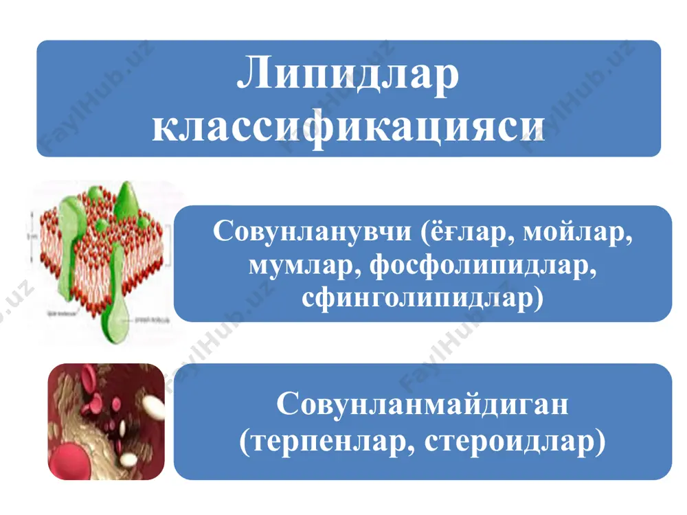 липидлар 3 - Page 5