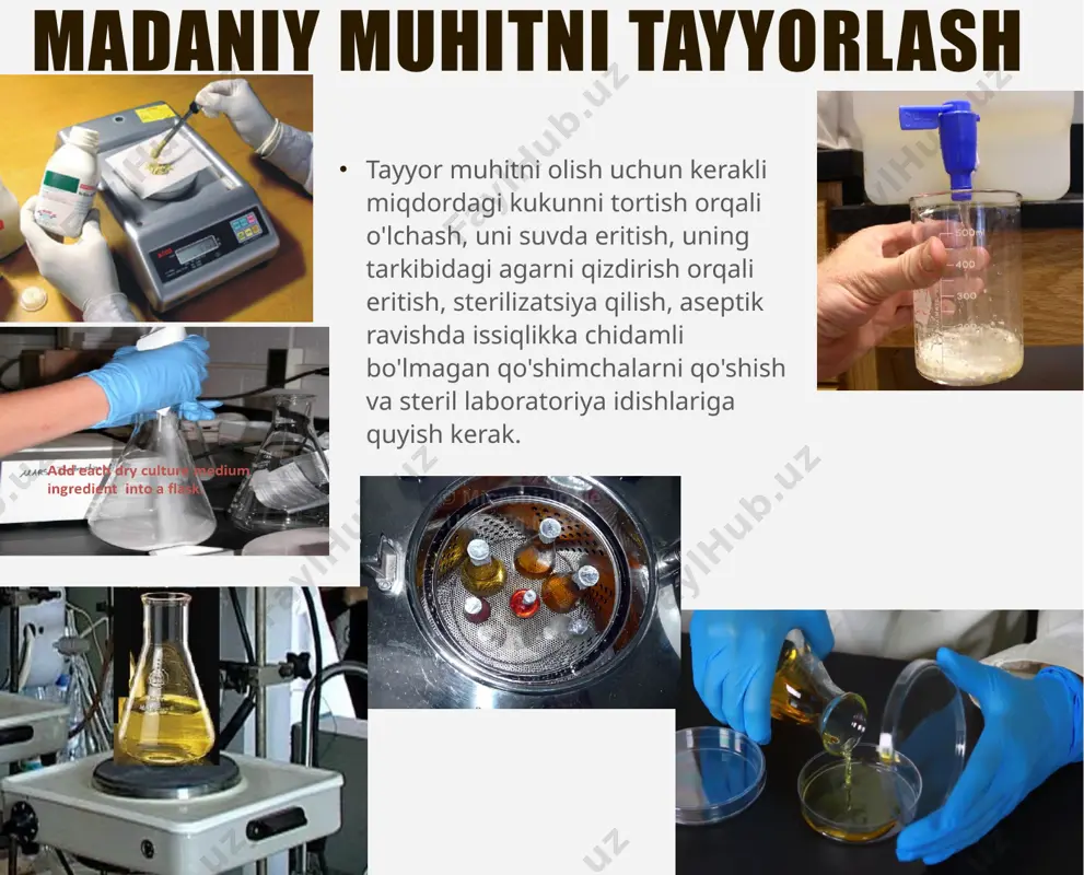 iagnostika madaniyat vositalarining asosini tashkil qilishi mumkin differensial diagnostika muhitlari substrat va indikatorni o'z ichiga olgan muhit - bakteriyalarning tegishli substratlardan foydalanish qobiliyatini aniqlash imkonini beradi. uglevodlar (masalan, saxaroza, laktoza, arabinoza) yoki ko'p atomli spirtlar ( sorbitol , mannitol , inositol ) yakuniy mahsulot sifatida organik kislotalarni hosil qilish uchun fermentatsiya qilinishi mumkin. shuning uchun ularning energiya almashinuvida ishlatilishi atrof-muhitning boshqa substratlar (limon kislotasi, karbamid, arginin, ornitin, lizin), aksincha, bakteriyalar tomonidan parchalanganda ozuqa muhitining ishqorlanishiga olib kelishi mumkin. ph ning mos keladigan o'zgarishlari muhitga qo'shilgan indikator moddasi rangining o'zgarishiga olib keladi. hiss media (mpa, uglevodlar to'plami, indikator) mikroorganizmlarning sitratlardan foydalanish qobiliyatini aniqlash uchun simmons muhiti differensial diagnostika muhitlari xromogen substratli muhit – tarkibida bakterial fermentlar ta’sirida parchalanganda rangli mahsulotlar hosil qiluvchi moddalar mavjud (masalan, x-glyuk beta-glyukuronidazalar ta’sirida parchalanib, ko‘k rangli pigment hosil qiladi). operatsion printsipi kerakli mikroorganizmlarda yuqori o'ziga xos fermentlarni aniqlashga asoslangan. bunday fermentlarga, masalan, escherichia coli beta-d-glyukuronidaza yoki …