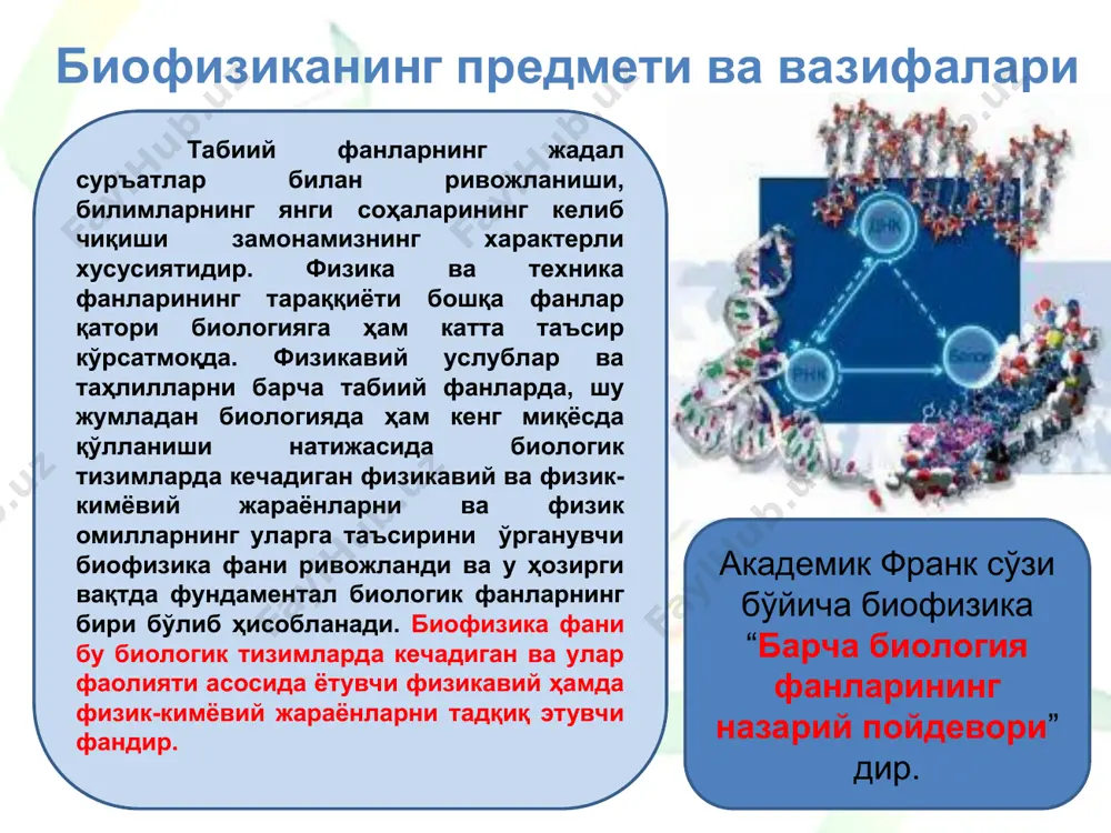 боғлаш механизмлари молекуляр даражада кўриб чиқилади. умумий ҳолда биофизика биологик тизимларнинг молекуляр даражадаги назарий асосларини ишлаб чиқишга қаратилган фан соҳаси ҳисобланади. ушбу асосда биологик тизимларда амалга ошувчи динамик жараёнларни мантиқий хулосаларга таянган ҳолда бошқариш услубларини ишлаб чиқиш имконияти юзага келади. мураккаб биологик тизимлар биофизикасида жараёнлар кинетикаси аниқ йўналишда кечувчи биокимёвий ўзгаришлар ва биомембраналарда электр потенциалининг ҳосил бўлиши ва тарқалиши, биологик ритмлар, биомасса ёки турларнинг кўпайиши, организмлар популяциялари ўртасидаги алоқалар каби жараёнларнинг вақт давомийлигига боғлиқ ўзгаришларини ўрганади. биофизикавий тадқиқотларнинг предмети биополимерларнинг структураси ва хоссалари, табиий ва сунъий мембраналар, ион каналлари, мураккаб тузилган биологик тизимлар ҳисобланади. биофизика ўз ичига алоҳида олинган макромолекулаларнинг тузилиши ва хоссаларини ўрганишдан тортиб, биосфера даражасида кечадиган мураккаб жараёнларнинг механизми ва ички динамикасигача бўлган муаммоларни қамраб олади. биологиядаги кўп муаммоларни тушунишда табиатдаги қонуниятларнинг ўзаро боғлиқлигини билиш, тирик организмларга ва тизимларга физикавий қонунларнинг тадбиқ этилиши ёрдам беради. биомолекулалар, мембраналар ва тирик тизимлар учун характерли бўлган физик ва физик-кимёвий жараёнларнинг механизмларини, …