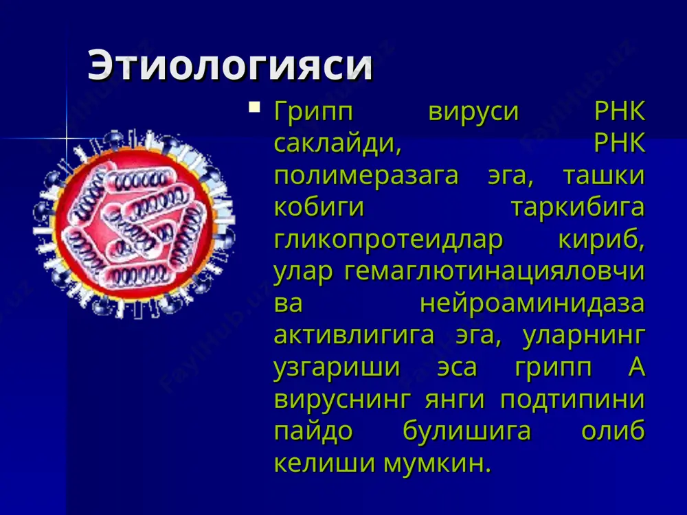 евматизм, сурункали тонзиллит, пиелонефрит) грипп диагностикаси грипп диагнози клиник-эпидемиологик маълумотларга асосланган холда куйилади. касалликнинг лаборатор тасдикланиши мз руз нинг №№ 198, 101 буйругига асосан утказилади. лаборатор текширув уз ичига олади: 1-умумий кон ва пешоб анализи 2- вирусологик 3- серологик (ифа, пцр, ртга, рск) 4- риноцитоскопик грипп. конъюнктивит, склерада кон томир инъекцияси грипп томокдаги узгаришлар грипп чап томонлама фолликуляр ангина 1грипп.томог шиллик каватдаги кон томирлар инъекцияси ва энантемаси 2.геморрагик пневмония 3. фибринозли – некротик ларинготрахео-бронхит 4. упканинг сегментар яллигланиши гриппнинг давоси базис терапия этиотроп терапия синдромал терапия базис терапия 1- тана харорати нормаллашгунча ёток тартиби. 2- витаминларга бой пархез, сут махсулотлари, усимлик ёгига тайёрланган овкатларни истеъмол килиш, куп суюклик ичиш 3- хароратни тушурувчи дори воситалар: парацетамол (панадол, колдрекс); ностероид яллигланишга карши препаратлар (немисил,бруфен ёшига караб), 16 ёшгача булган болаларга ацетилсалицил кислотаси (аспирин) рея синдроми ривожланиш хавфи булганлиги сабабли ман этилади. 4 – муколитиклар: амбробене, мукалтин, солодка илдизи ёки алтей дамламаси ва …
