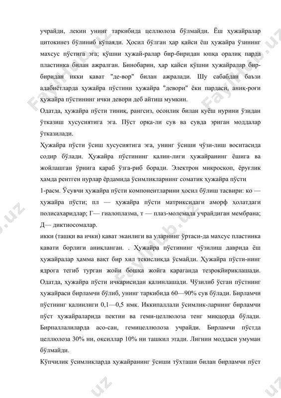 ида 95% целлюлоза учрайди. игнабаргли дарахтлар ва ёпиқуруғли ўсимликларнинг иккиламчи қатлами орасида учламчи қатлам ҳосил бўла-ди. учламчи қатламнинг қалинлиги 1—10 ммк гача бўлиб, целлюлозага жуда ҳам бой. пўст ҳамма вақт ҳам ҳужайра атрофида бир текисда қалинлашмайди, шу сабабли баъзи жойлари жуда ҳам ин-гичка тешикчалар шаклида қолади. бу тешикчалар пора ёки апертура (лот. апертус — очиқ) деб аталади. тузи- лиши жиҳатидан поралар икки хил: оддий ва ҳошияли бўлиши мумкин. оддий пораларцинг диаметри бир хил, ичи цилиндрсимон, баъзан эгилган бўлади. бу хилдаги поралар паренхиматик ҳужайраларда, луб толаларида (скле-ренхима), ёғочланган толаларда кўпроқ учрайди. тошси-мон ҳужайраларда (беҳи, нок, нашвоти) поралар тармоқ-ланган. ёндош ҳужайралар деворидага поралар бир-би-рига қарама-қарши жойлашади. ҳошияли поралар тешик камераси билан тешик ка-налдан ташкил топган. бу хилдаги поралар кўпинча сув ўтказувчи ёғочланган ҳужайраларда кўпроқ учрайди. энг оддий тузилган ҳошияли пора юҳоридан қаралса иккита айланага ўхшаб кўринади. айлананинг каттаси туташти-рувчи парда билан ўралган. нинабаргли ўсимликларда мураккаб тузилишдаги ҳошияли поралар учрайди. уларда парданинг ўрта …