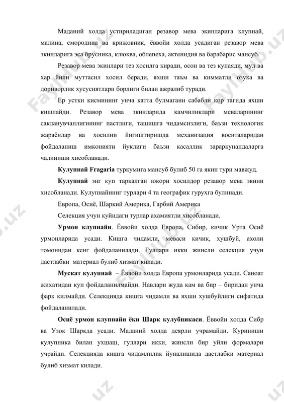 лекцияда кишга чидамлилик йуналишида дастлабки материал булиб хизмат килади. гарбий африка клупнайи ёввойи холда шимолий америкада учрайди. кишга чидамли, бошка турлар билан осон чатишади. америкада етиштирилади. виржиния кулпнайи – ёввойи холда шимолий америкада усади. бог маданий кулпнайининг авлоди саналади. хозир навлари йук, гуллари икки уйли. баъзан бир уйли гуллари учрайди. чили кулупнайи – шимолий ва жанубий американинг киска полосасида таркалган. жанубий америкада бир уйли ва икки уйли усимликлари мавжуд. селекцияда – гултупламида куп гулли навлар яратишда фойдаланилади. бог кулпнайи – (катта мевали, катта гулли кулупнай). чили ва виржния клупнайларининг дурагайи хисобланади. ёввойи холда учрамайди.селекцияда фойдланадиган асосий тур хисобланади . навлари : кульвер, ташкентская , памят шредера , узбекистанская , крымская , ремонтант ва бошкалар . смородина – ribes туркумига мансуб куп йиллик усимлик америка урмонларида усади. 150 га якин тури булиб, улардан куйидагилари мухи ахамиятга эга: кора смородина – европа, сибр, урта осиё козагистон, монголияда усади. маданий холда етиштириладиган навлари …