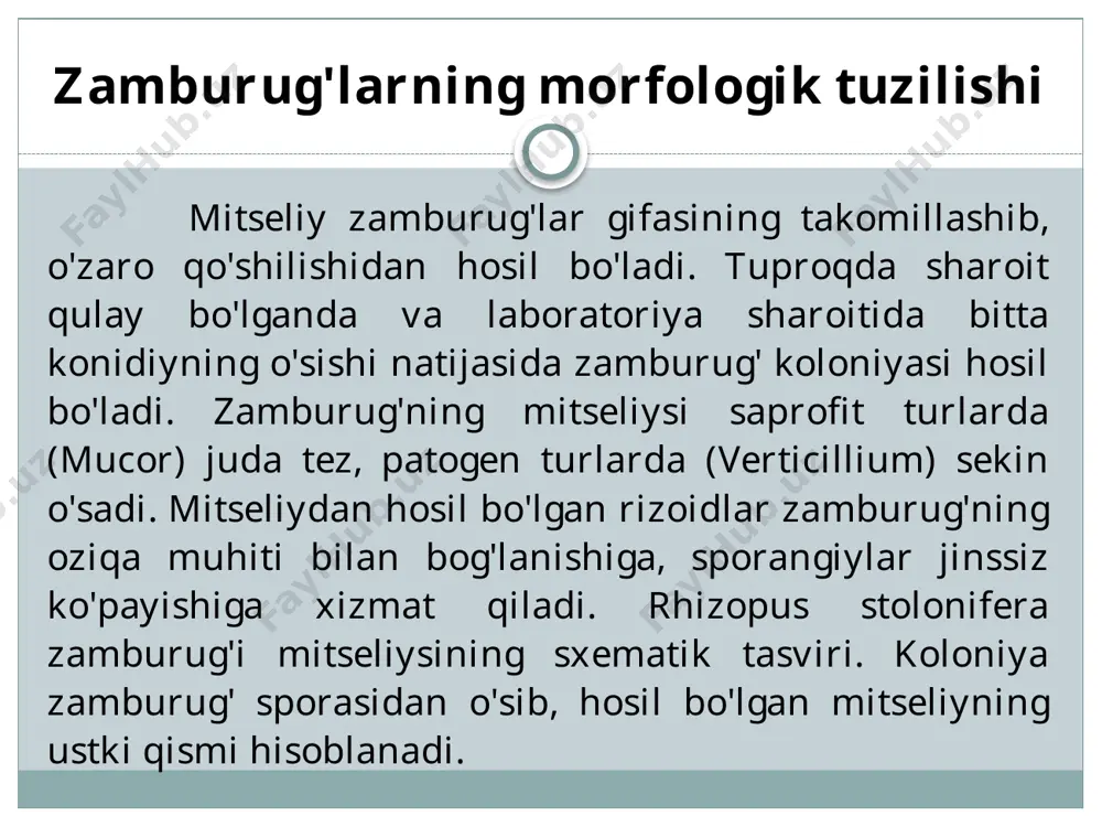 konidiya bandlaridan iborat bo‘lib, bo‘sh to‘qilgan mitseliylar orasida bo‘ladi. kleystotetsiy – ya’ni yopiq meva tanacha. uning ichida xaltachalar va xaltachalar ichida sporalar (askosporalar) joylashgan bo‘ladi. sporalar tashqariga meva tananing po‘sti yorilgandan keyin chiqadi. kleystotetsiyalar bir-biridan o‘simtalarini tuzilishiga va askosporalarning soniga qarab bir-biridan farq qiladi. peritetsiy – ya’ni chala ochiq meva tanadir. bu tipdagi meva tanalar ko‘zasimon bo‘lib, uchi bir qadar ochiq bo‘ladi. xaltachalar meva tananing tagida to‘plam bo‘lib, ko‘tarilib etilishi bilan teshikcha orqalli sporalarni birin-ketin tashqariga sochadi. apotetsiy – tarelkasimon yoki voronkasimon shaklda bo‘lgan meva tanadir. uning ustida xaltachalar va askosporalar keng qatlam hosil qiladi. po‘kaklar – bu bir yillik yoki ko‘p yillik bo‘lib, yumshoq etli yoki yog‘ochsimon bo‘ladi, ba’zan juda katta bo‘lib diametri 1 m gacha etadi. shakli turlicha, yoyiq plastinkasimon, tuyoqsimon, ko‘pincha qalpoqchasimon bo‘ladi. bu oilaga parazitlik bilan hayot kechiruvchi turlidaraxtlarda yashovchi zamburug‘lar kiradi. ularning meva tanasi ko‘p yilik va qattiq bo‘ladi. meva tanasining shakli tuyoqsimon yoki konussimon …