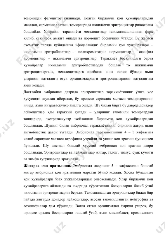 булардан ташқари, жигарда гигант ҳужайралар – мегакариоцитлар ҳам ривожланади. барча элементларнинг тараккиёти жигарда томирлардан ташқарида, яъни экстраваскуляр амалга ошади. жигарда қон яратилиши аста – секин камайиб боради ва эмбрионал тараккиётнинг охирига келиб бутунлай тўхтайди. талоқда қон ҳосил бўлиши. эмбрионал ҳаётнинг биринчи ярмида талоқда гемопоэзнинг барча ҳужайралари тараккий этади. талоқда экстраваскуляр қон яратилишининг манбаи бўлиб мезенхимадан такомиллашувчи ўзак ҳужайралар ҳисобланади. хомила туғилиши пацтига келиб талоқда эритро – ва гранулоцитопоэз жараёнлари сусаяди ва бутунлай тўхтаб, талоқ асосан агранулоцитлар ва тромбоцитларни яратувчи манба ролини ўтайди. лимфа тугунида қон яратилиши. эмбрион тараккиётининг 3 – ойига келиб лимфа қопчаси деворининг мезенхимасидан ҳаракатчан ўзак ҳужайралари ажралиб чика бошлайди. мезенхима синцитийси ретикуляр тўқимага айланиб, бу тўқима орасида эркин ҳужайралар – лимфобластлар ва лимфоцитлар жойлашади. лимфа тугуни куртакларининг дастлабки тараккиёт даврида уларда эритробластлар ва миелоид элементларнинг борлигини кўриш мумкин, бироқ бу элементларнинг кўпайиши лимфоцитлар пайдо бўлиши билан тўхтайди. букок безида қон яратилиши. тимусда т- лимфоцитлар яратилиши хомила такомилининг …