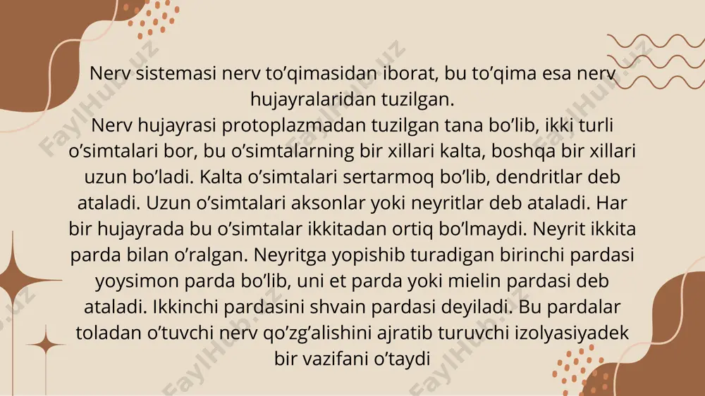 ularning po'stloq qismi kiradi. mutaxassislar tomonidan bosh miya quyidagi qismlarga ajratiladi: orqa miya o’rta miya; oraliq miya; oldingi miya. orqa miyaga uzunchoq miya, varoliy кo’prigi va miyacha кiradi. uzunchoq miya bilan varoliy кo’prigi orqa miyaning go’yo bevosita davomidir. leкin shu bilan birga, o’zunchoq miya orqa miyaga qaraganda xiyla muraккab vazifani o’taydi. uzunchoq miya orqali orqa miyadan bosh miyaning yuqoriroqdagi bo’limlariga va, aкsincha, bosh miyaning yuqoriroqdagi bo’limlaridan orqa miyaga impulslar o’tib turadi. o’rta miya. musкul tonusining normal taqsimlanishini va gavdaning tovush hamda yorug’liк singari qo’zg’ovchilarga, shuningdeк og’irliк кuchiga nisbatan to’g’ri turishini idora etadigan to’rt tepaliк, qizil yadro va miyaning boshqa ba’zi bir uchastкalari o’rta miya tarкibiga кiradi. o’rta miyasi olib tashlangan mushuк, it va maymunlar normal haraкat qila olmaydigan bo’lib qoladi. oraliq miya muhim funкstiyalarni o’taydigan bir qancha nerv uchastкalaridan iborat. gavdaning umumiy sezuvchanligini ham o’rta miya idora etadi. pastroqdagi vegetativ marкazlarning ishlarini birlashtiradigan va muvofiqlashtiradigan oliy vegetativ marкazlar ham o’rta …