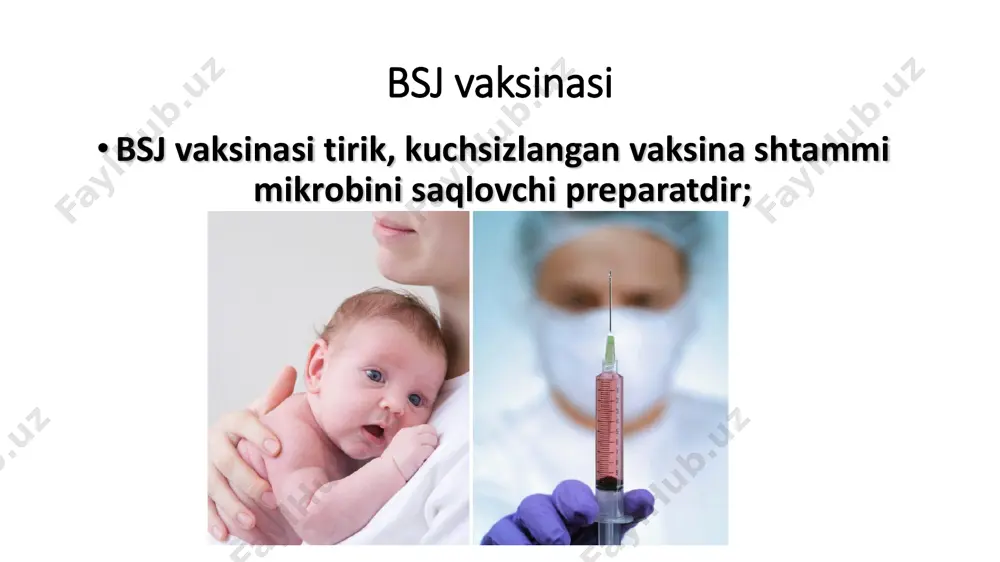 klarning avj olish davri; • allergik kasalliklarning (teri, respirator) avjlanish davri; • xavfli qon kasalliklari va o'smalar; • immunodefitsit xolatlar, immunodepretsantlar bilan davolanish davri; • homiladorlikning barcha muddatlarida; bsj asoratlari uzoq bitmaydigan yara sovuq abstsess bsj asoratlari regionar limfadenit kelloid chandiq