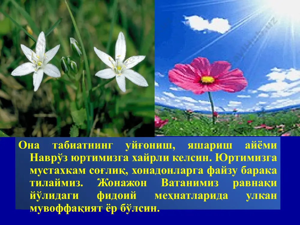 navrоz bayrami va uning ma'nosi - Page 4