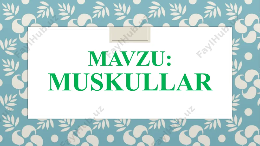 lari odam tanasi muskullari. a - old tomondan ko'rinishi: 1 - mimika, 2 - chaynash, 3- boshni buradigan, 4- qo‘lni bukadigan va yozadigan, 5- tanani bukadigan va yozadigan, 6- oyoqni bukadigan va yozadigan muskullar; b - orqa tomondan ko'rini­shi: 1 - boshni buradigan va ushlab turadigan, 2 - tanani buradigan va ushlab turadi­gan, 3 – qo’lni bukadigan va yozadigan, 4 - oyoqni bukadigan va yozadigan muskullar. odam gavdasi muskullari odam tanasida 600 dan ortiq muskullar bor. bosh muskullari chaynash muskullari mimika muskullari bosh muskullari ko‘z va og‘iz atrofida hamda yuzda joylashgan mimika va chay-nash muskullaridan iborat. odam gavdasi muskullari odam tanasida 600 dan ortiq muskullar bor. bosh muskullari chaynash muskullari bosh muskullari ko‘z va og‘iz atrofida hamda yuzda joylashgan mimika va chay-nash muskullaridan iborat. xususiy chaynash muskullari chakka muskullari ichki qanotsimon muskullar tashqi qanotsimon muskullar odam tanasida 600 dan ortiq muskullar bor. bosh muskullari mimika muskullari bosh muskullari ko‘z va …