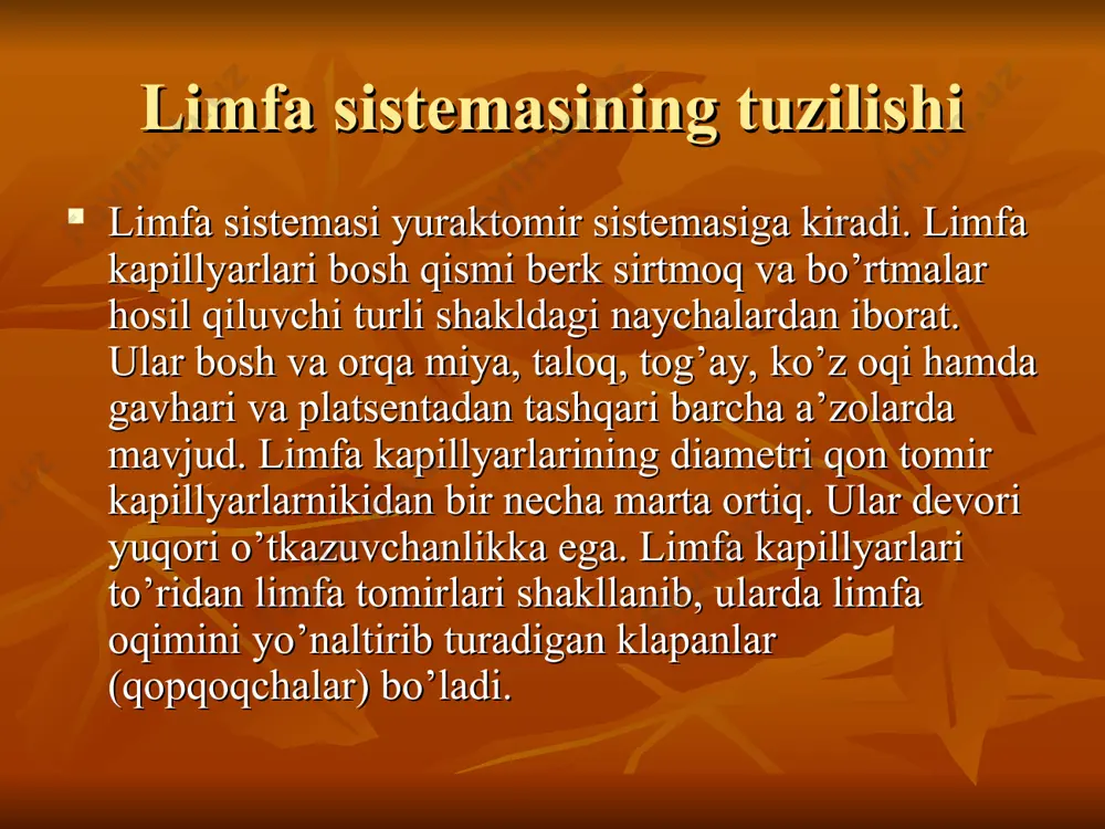 limfa sistemasi - Page 4