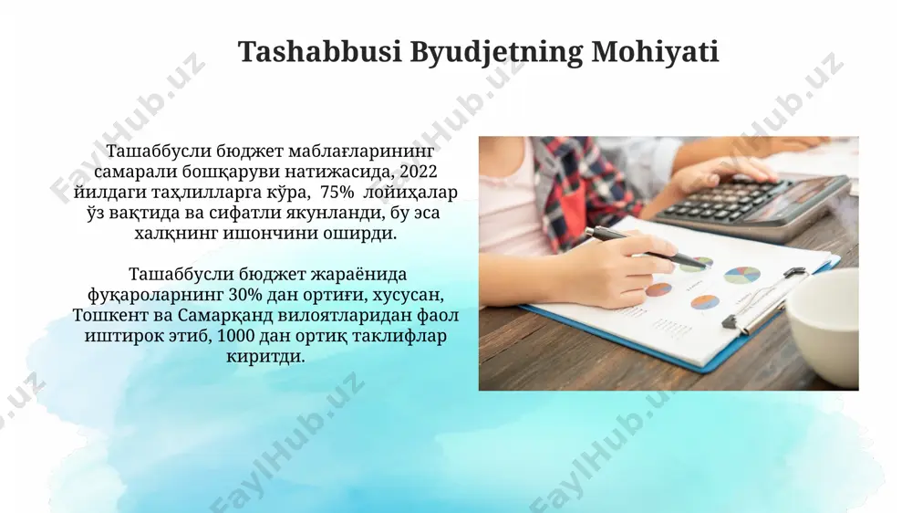 tashabbusli budget - Page 3