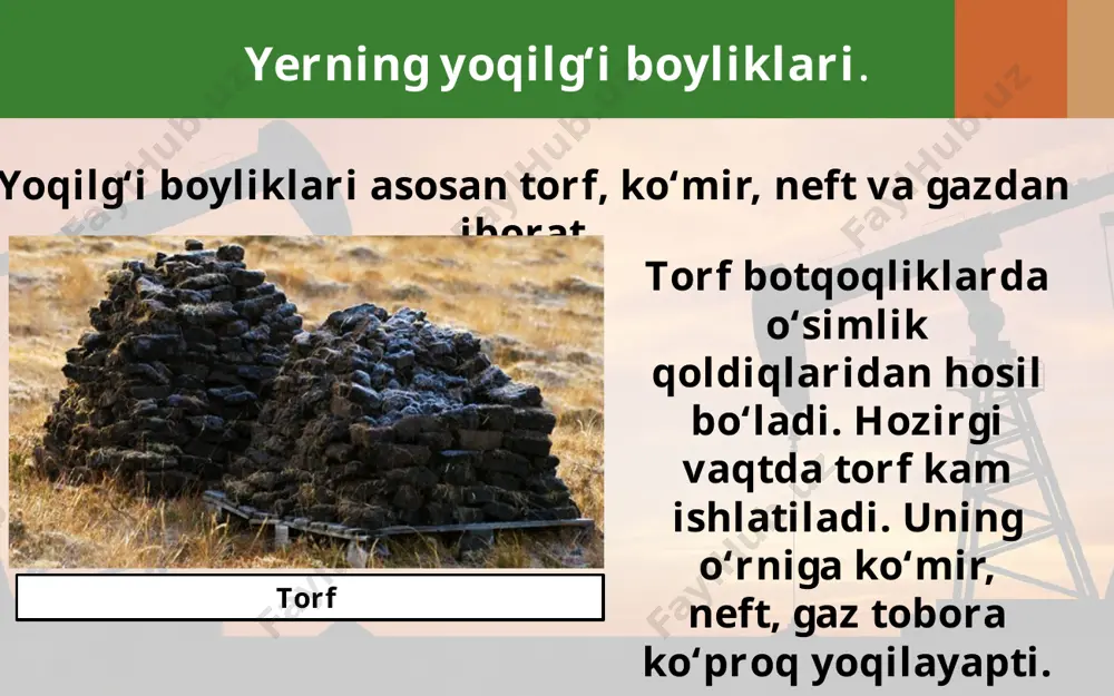 yer toshqobig‘ining boyliklari 5 -sinf - Page 4
