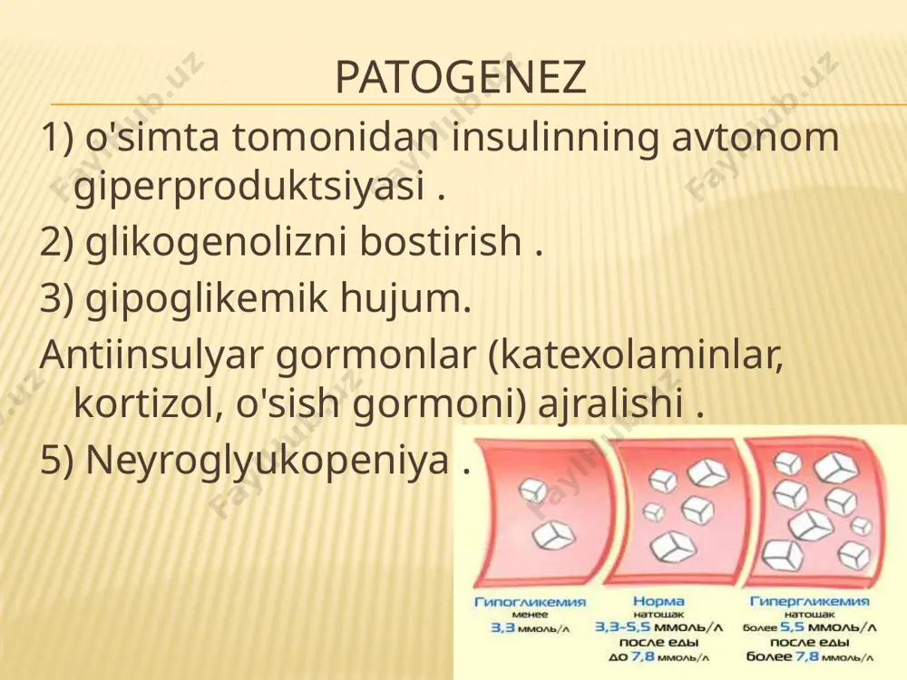 insulinoma - Page 5