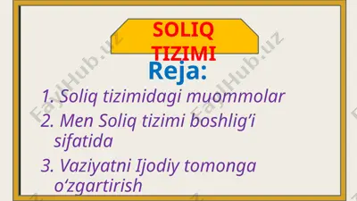soliq tizimi — PPTX