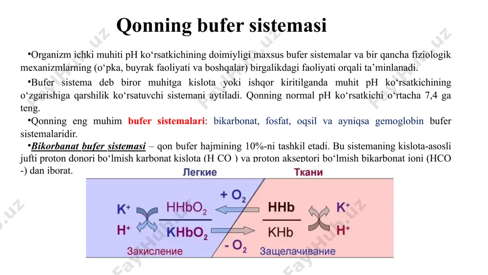 rkibida tromb bo‘lmagani uchun ivimaydi. keyinchalik shmidt shogirdlari, jumladan, moravits va uning o‘quvchilari, tomonidan fibrin o‘tmishdoshi fibrinogen, trombin o‘tmishdoshi protrombin ekani va qon ivishida trombotsit trombokinazasi, ca ionlari ham ishtirok etishi aniqlandi. qon ivishi qon plazmasi omillari : i omil (fibrinogen) – qon ivishda ishtirok etuvchi asosiy omil. glikoproteid, jigarda sintezlanadi, molekula massasi 330000, qon plazmasidagi konsentratsiyasi 2-4 g/l, molekulasi 3 juft o‘zaro o‘xshash bo‘lmagan peptid zanjiridan tarkib topgan bo‘lib, ular o‘zaro disulfid bog‘lari orqali bog‘langan. ii omil (protrombin) – qon ivishda ishtirok etuvchi asosiy omillaridan biri, trombin (ferment)ning o‘tmishdoshi, kimyoviy jihatdan glikoproteid, 2-globulinlar fraksiyasi tarkibiga mansub, jigarda sintezlanadi; 10-12 atom ca2+ bilan birikishi natijasida konformatsiyasi o‘zgaradi. iii omil (to‘qima tromboplastini) – lipoprotein, to‘qima jarohatlanganda hosil bo‘ladi, molekula massasi 167 000 000. iv omil (kalsiy ionlari) – qon ivishining ko‘p fazalarida ishtirok etadi; jumladan, x omilning faollashuvida, to‘qima tromboplastin faollashuvida, prokonvertin faollashuvida, trombin hosil bo‘lishida ishtirok etadi. v omil (proakselerin) …